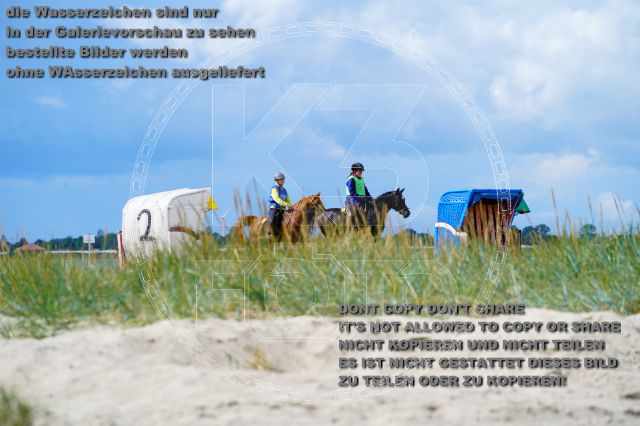 s_K3F05195.JPG
